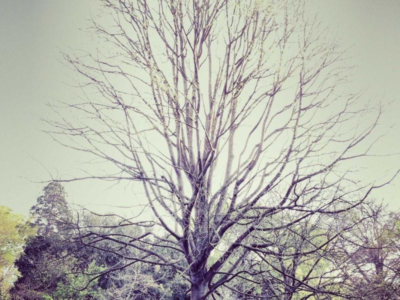 post